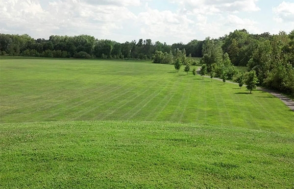 Lawn Care Services